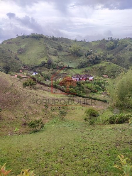 Terreno disponible para Arriendo en Guatape Peñol Foto numero 1